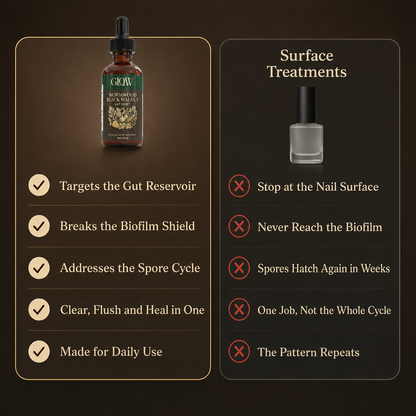 Wormwood Black Walnut Fungus Cleanse